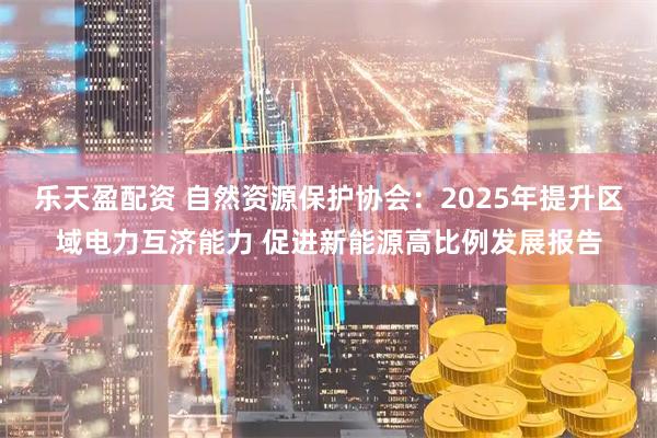 乐天盈配资 自然资源保护协会：2025年提升区域电力互济能力 促进新能源高比例发展报告