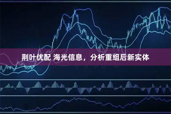 荆叶优配 海光信息，分析重组后新实体