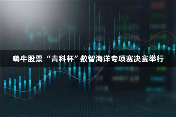 嗨牛股票 “青科杯”数智海洋专项赛决赛举行
