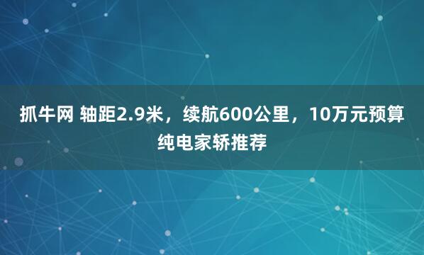 抓牛网 轴距2.9米，续航600公里，10万元预算纯电家轿推荐
